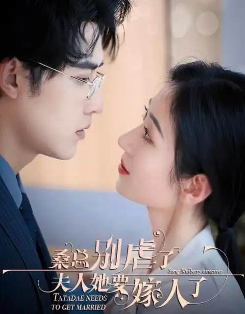 悬疑剧《潮汐档案》视频免费观看海报