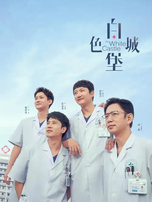 视频免费在线观看悬疑剧《雾港迷踪》海报
